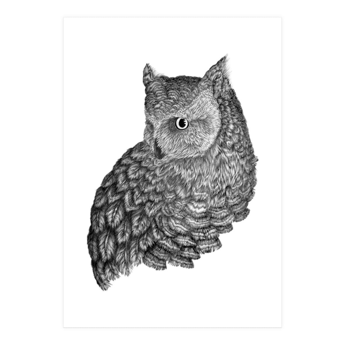 A Friend For Forsythe (Print Only)