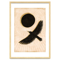 Raven And A Black Sun