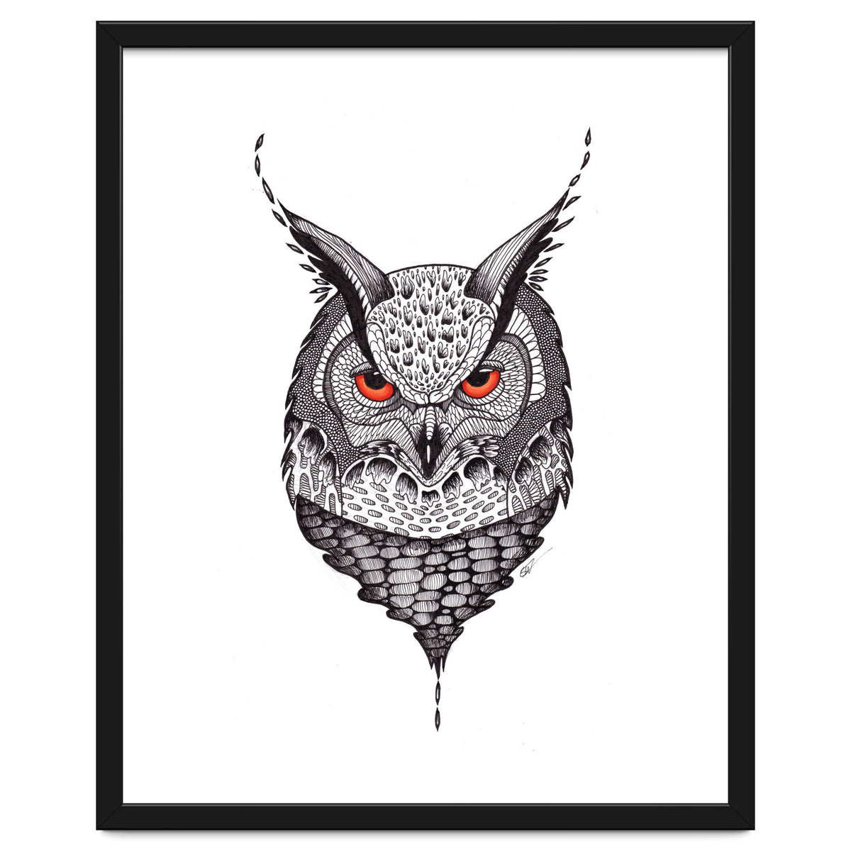 Owl