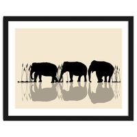 Elephants Crossing Water