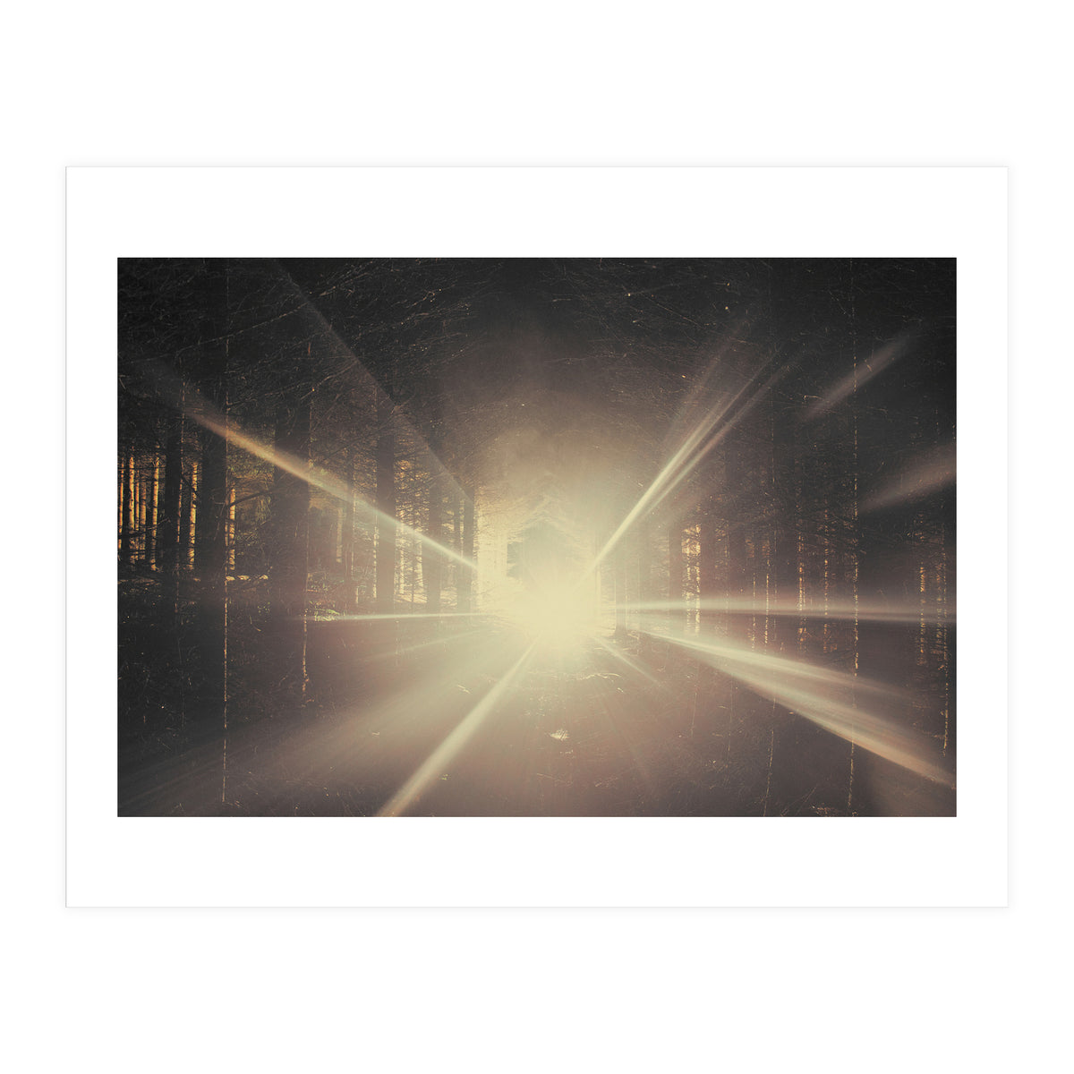 Why is Summer Mist Romantic and Autumn Mist just Sad? (Print Only)