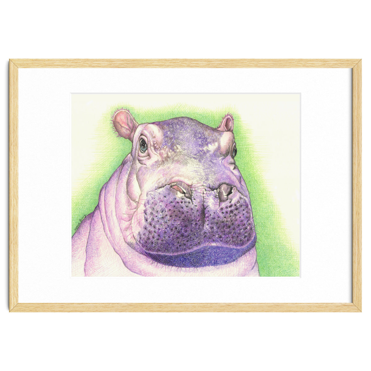 Purple Hippo