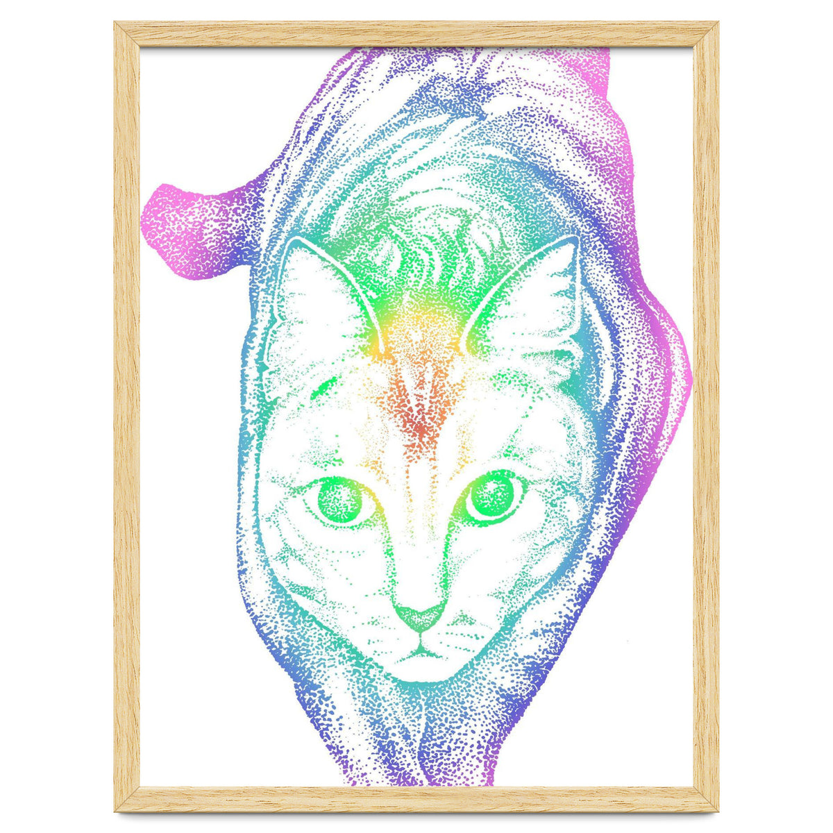 Rainbow Pastel Cat
