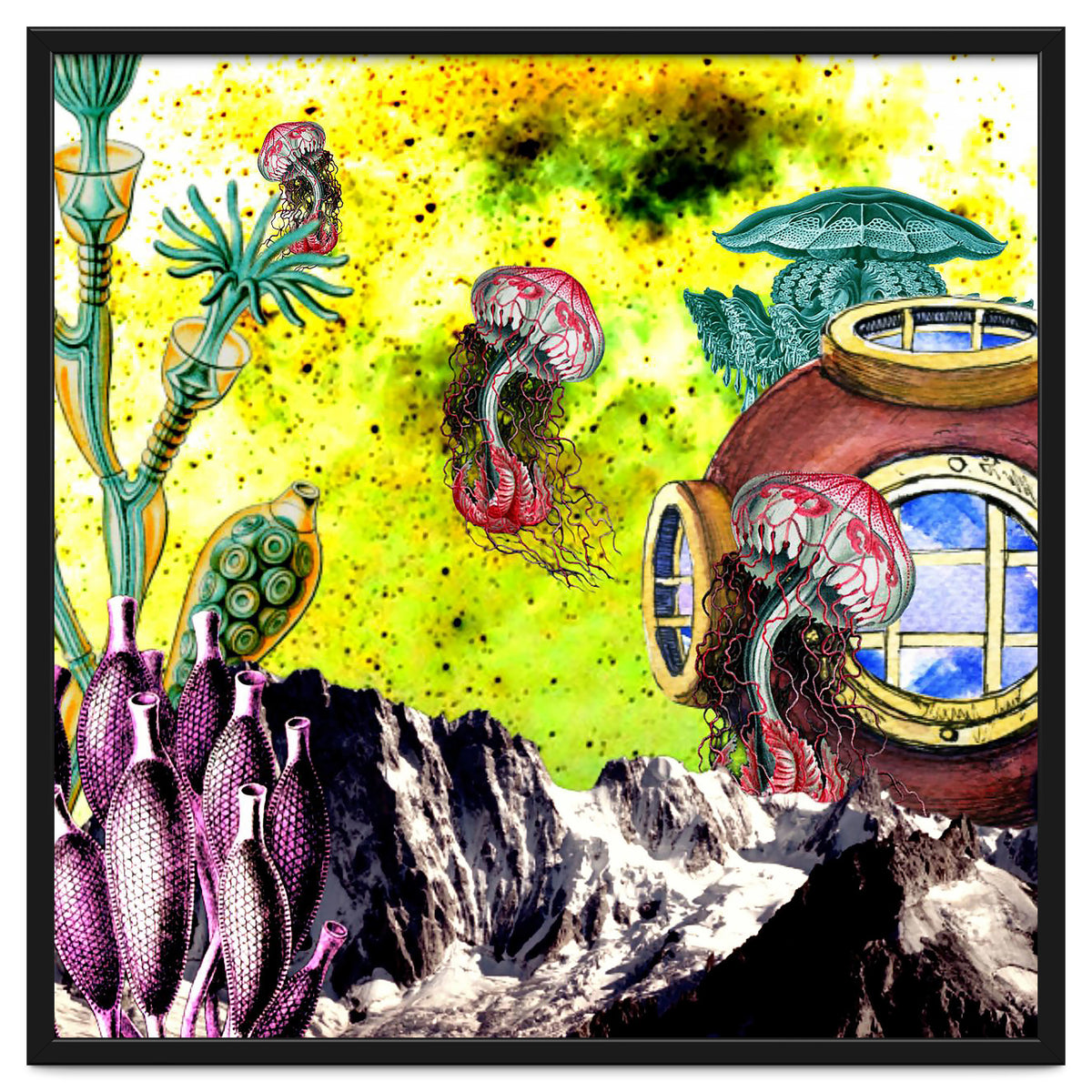 Dreaming Of Other Sea