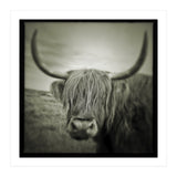 Elgol Cow (Print Only) thumbnail