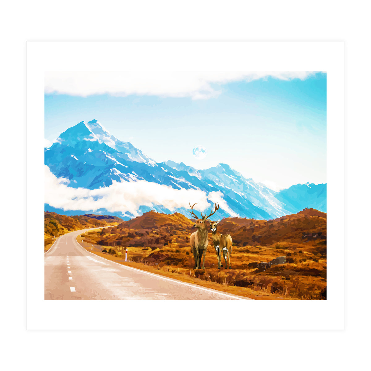 Wildlife (Print Only)