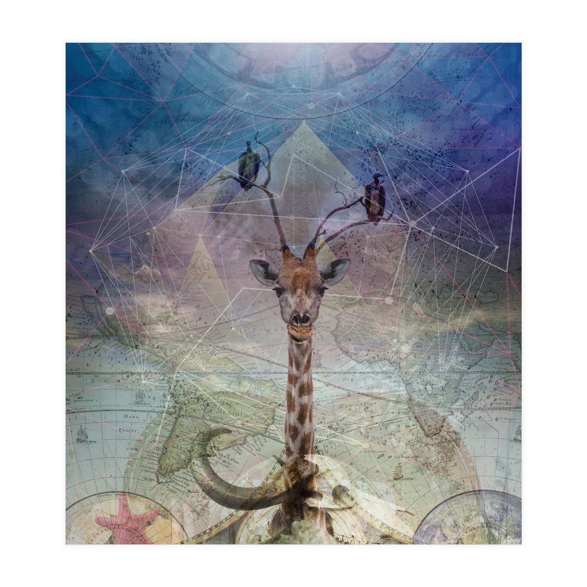 Warning (Print Only)