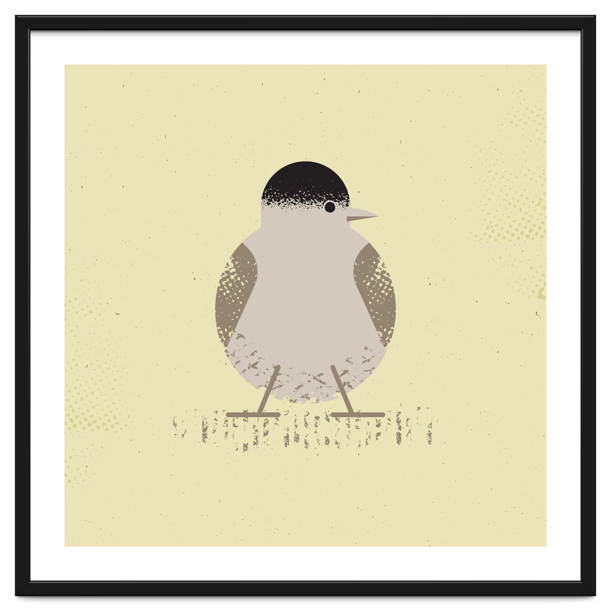 Blackcap 2