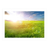 Nature (Print Only) thumbnail