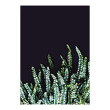 Dark Nature (Print Only) thumbnail