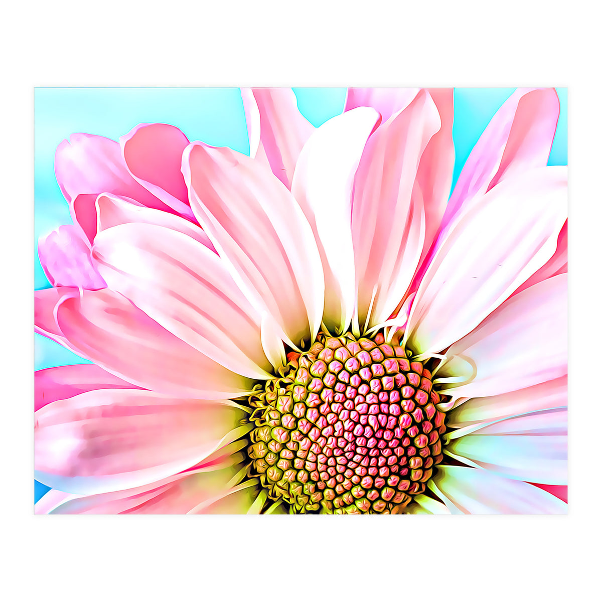 PInk Dahlia (Print Only)