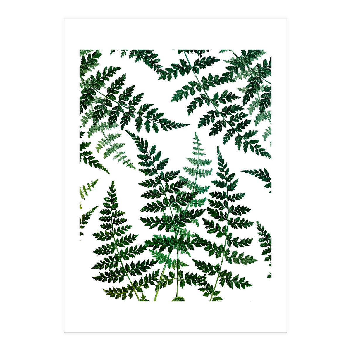 Botanical Bliss (Print Only)