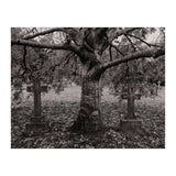 Golgotha (Print Only) thumbnail