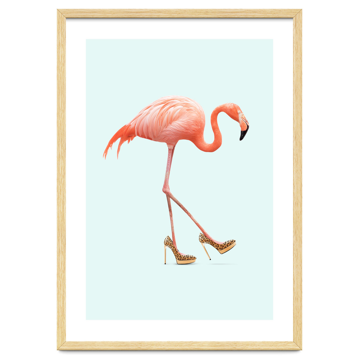Fancy Flamingo