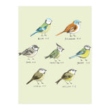 The Tit Family (Print Only) thumbnail