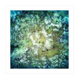 Observation (Print Only) thumbnail