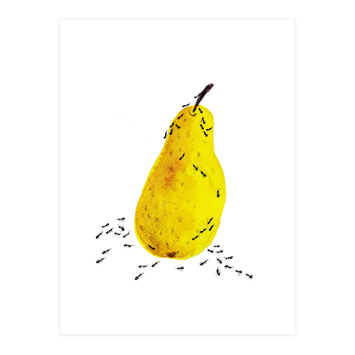 Funtime (Print Only)