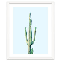 Loner Cactus