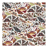 Moths of North America Pattern (Print Only) thumbnail