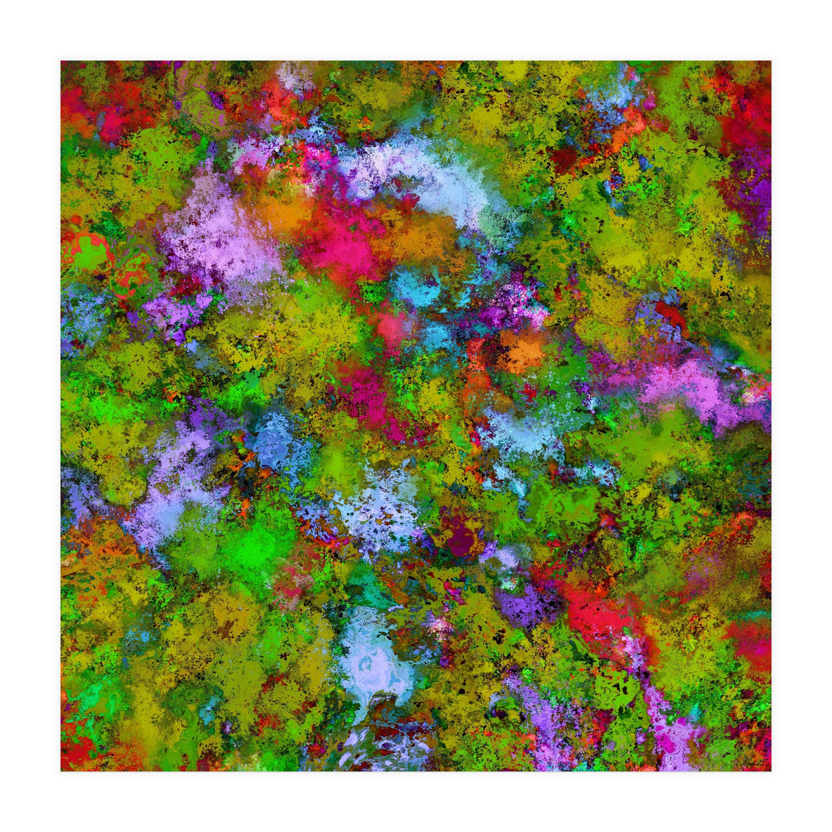 Above The Tree Canopy (Print Only)