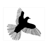Bird White (Print Only) thumbnail
