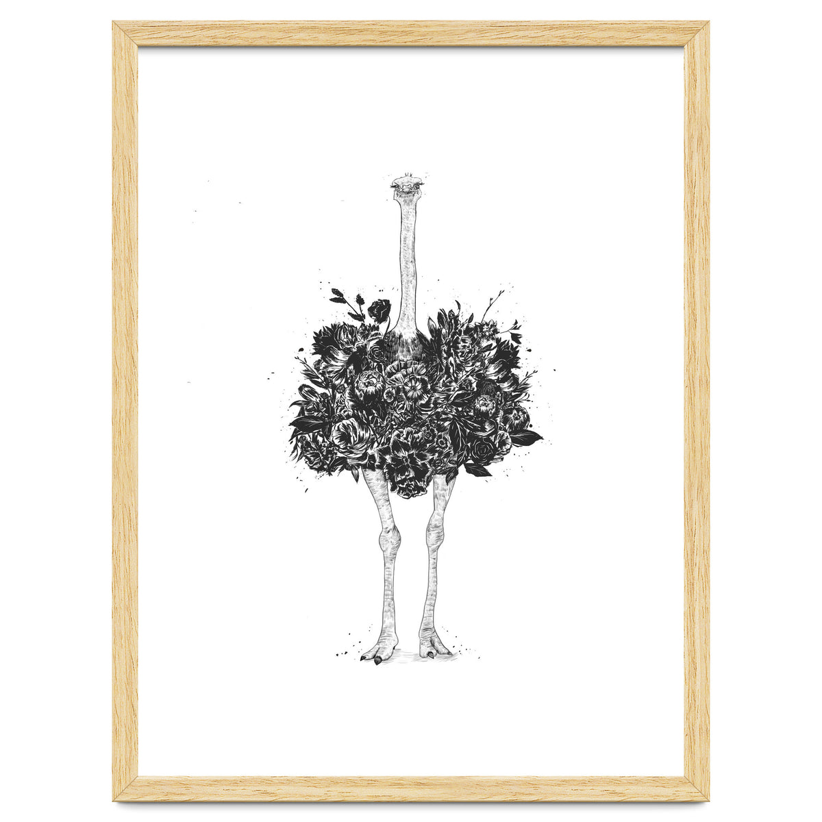Floral Ostrich
