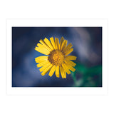Butter (Print Only) thumbnail