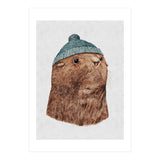 The Fur Seal (Print Only) thumbnail