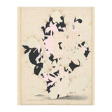 The First Plant · E (Print Only) thumbnail