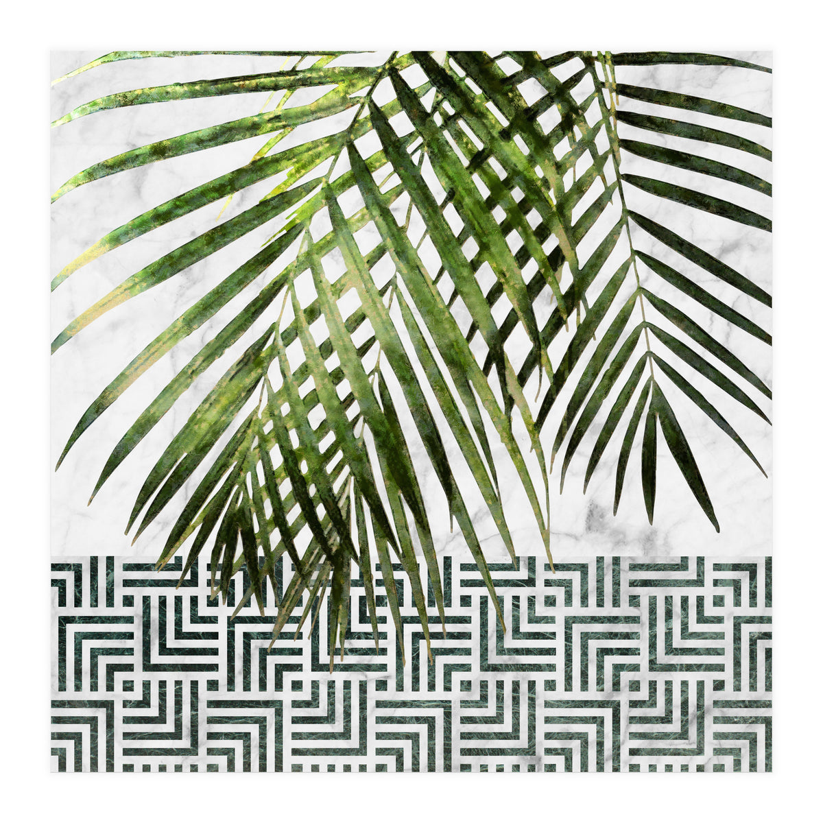 Palm Leaves On White Marble And Tiles (Print Only)