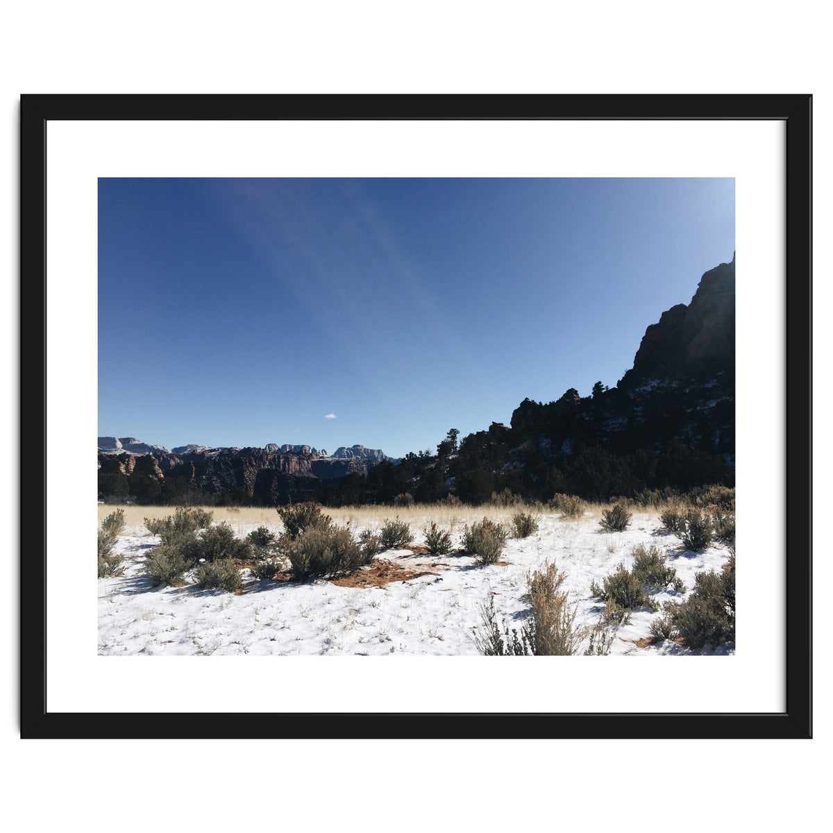 Zion National Park II