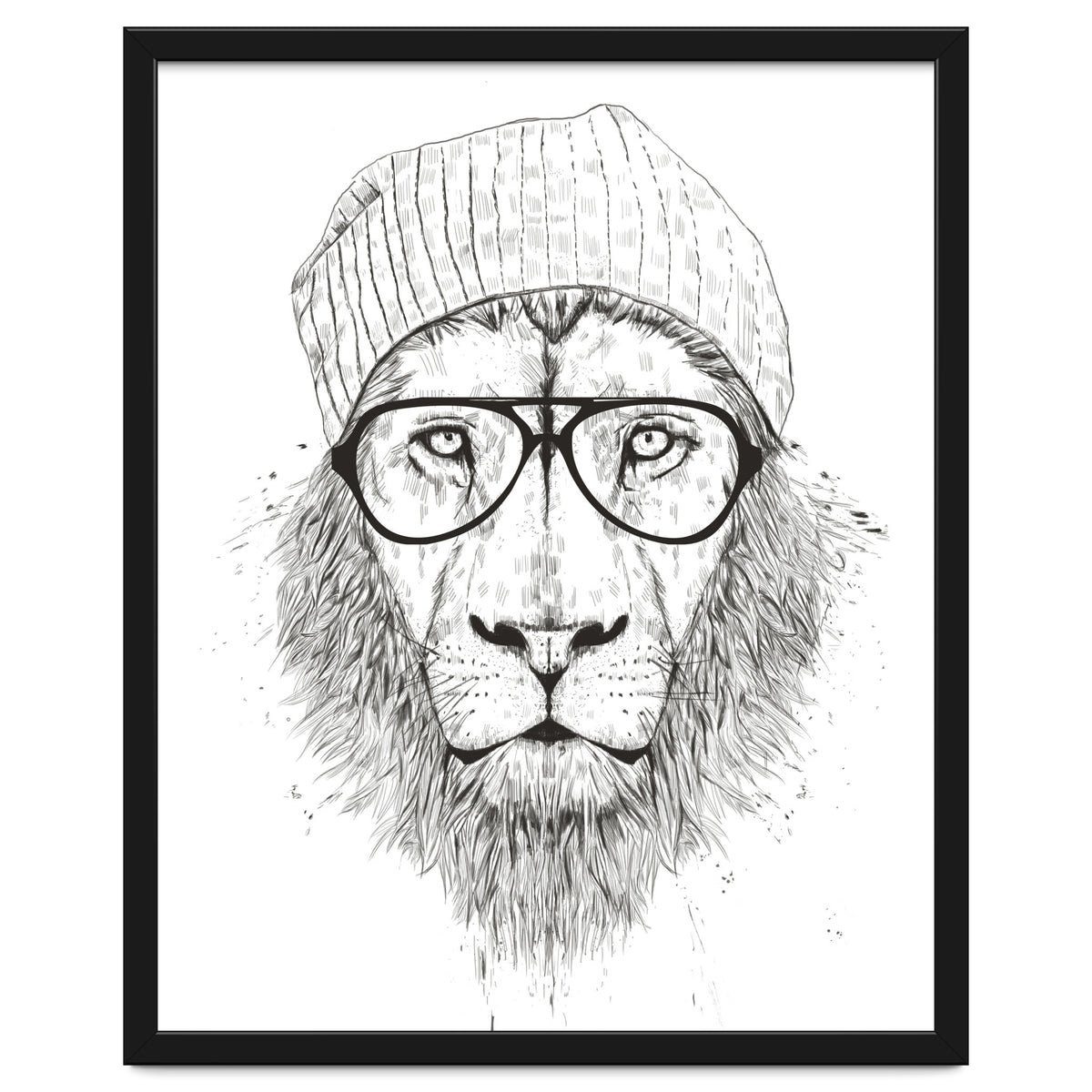 Cool Lion Bw