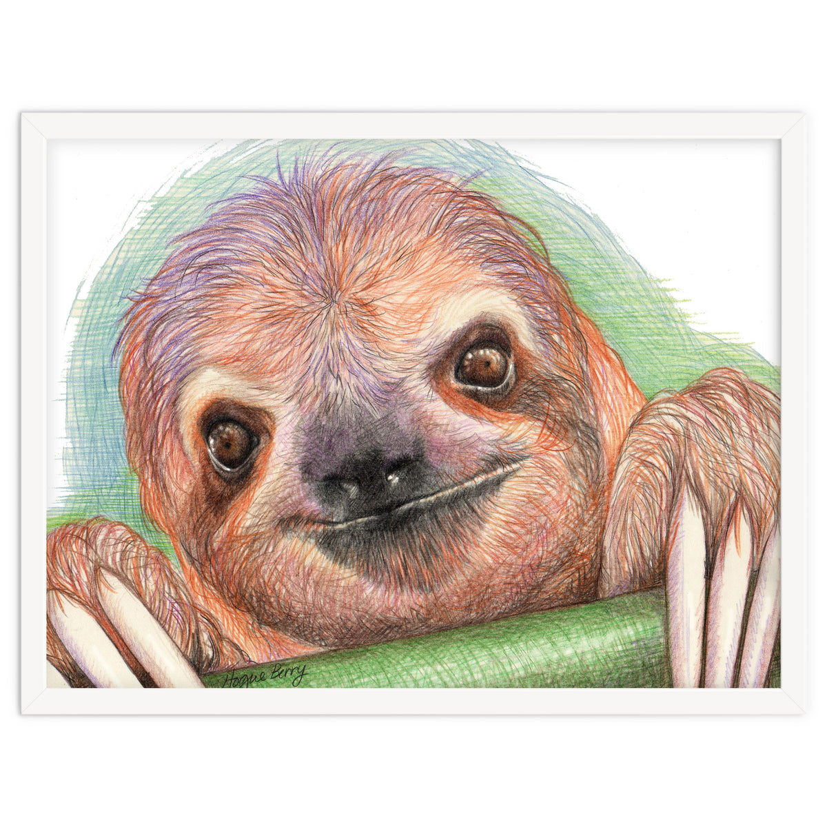 Smiling Sloth