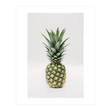 Pineapple (Print Only) thumbnail