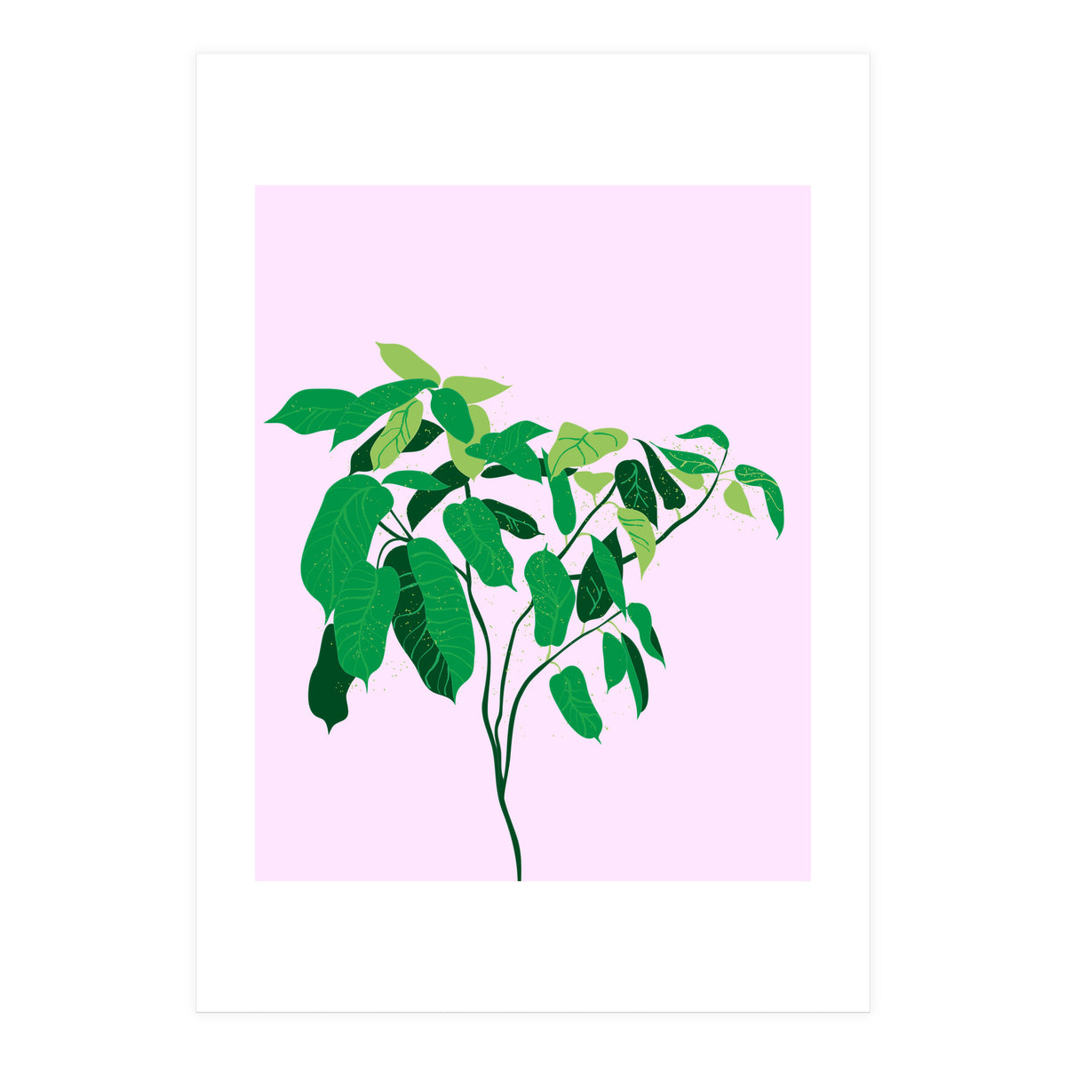 Ficus on Pink Background (Print Only)