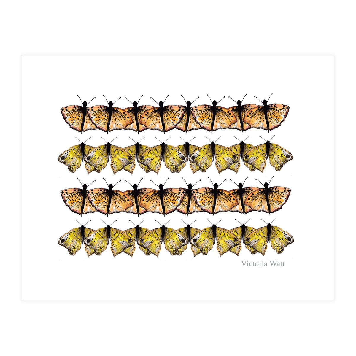 Butterfly Dance (Print Only)
