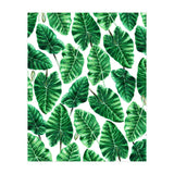 Taro (Print Only) thumbnail