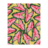 Caladium, Botanical Tropical Nature Plants, Vintage Bohemian Exotic Blush Leaves (Print Only) thumbnail
