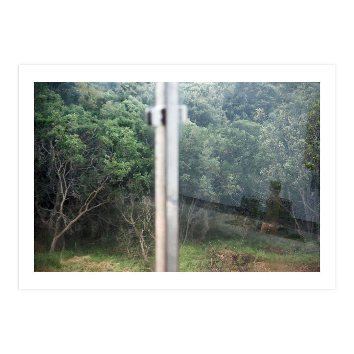 Diary of a Stalker (Print Only)