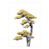 Bonsai Tree 04 (Print Only) thumbnail