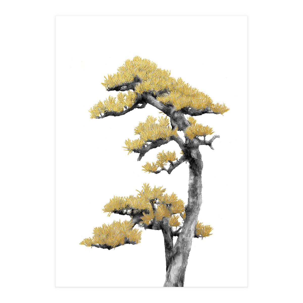 Bonsai Tree 04 (Print Only)