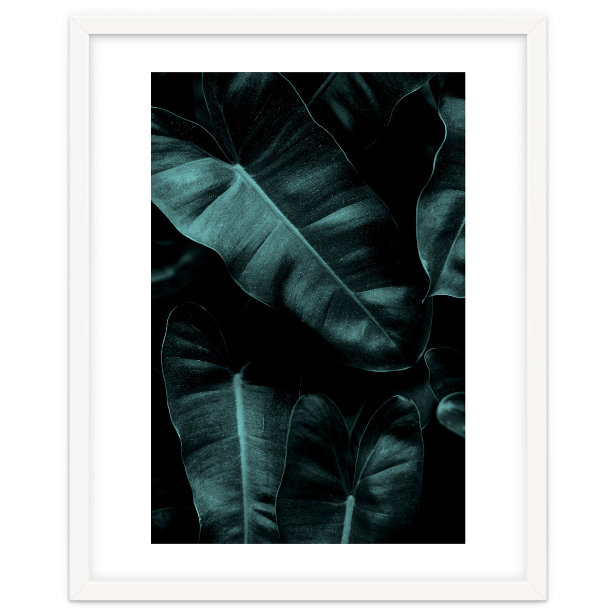 Dark Leafs