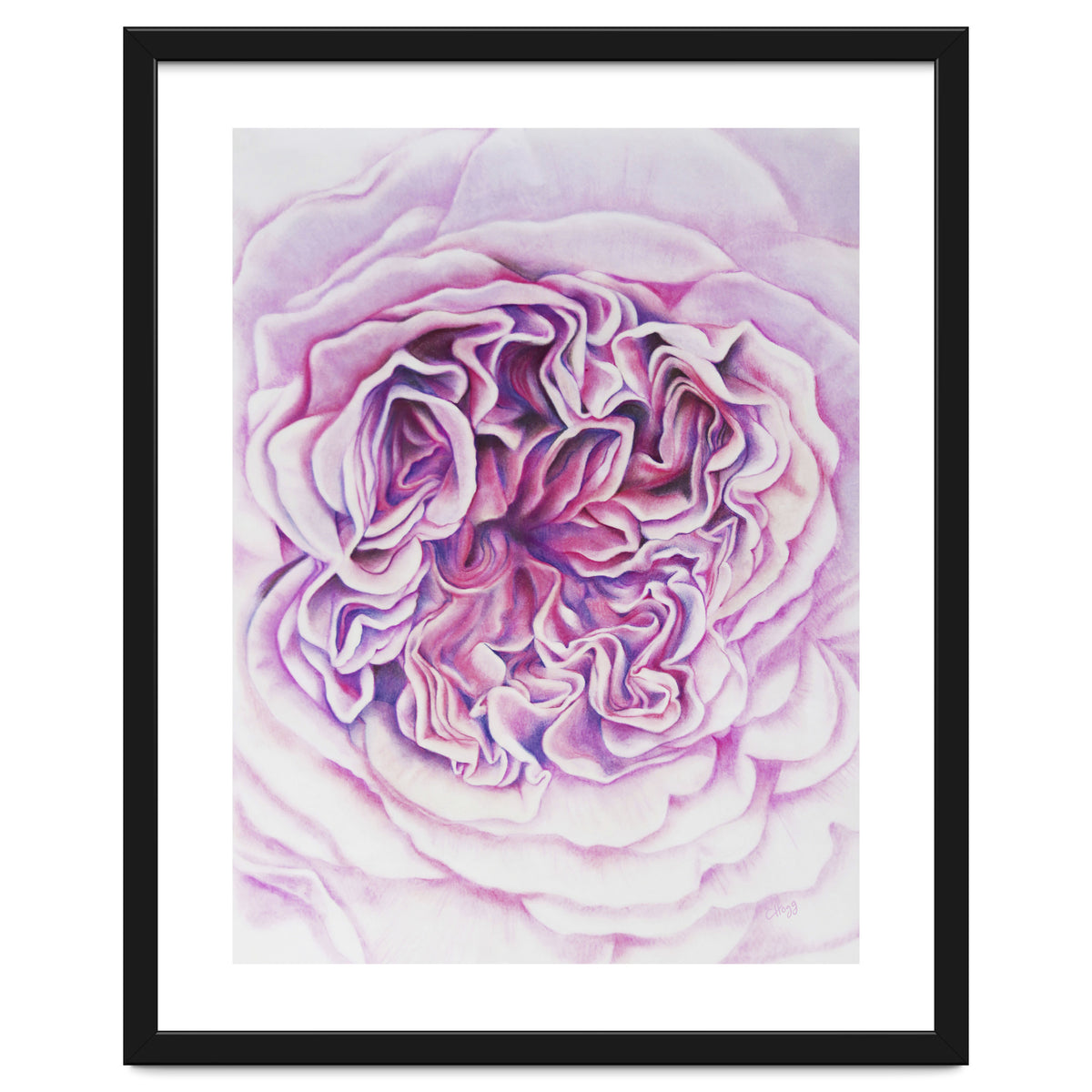 A Rose Is A Rose Std