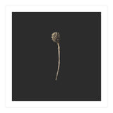 Simple Golden Botanical - Square (Print Only) thumbnail