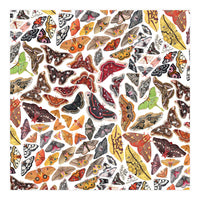 Saturniid Moths of North America Pattern (Print Only)