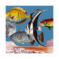 Fish World Blue (Print Only)