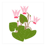 Cascading Cyclamen (Print Only) thumbnail