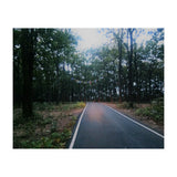 In To The Wild (Print Only) thumbnail