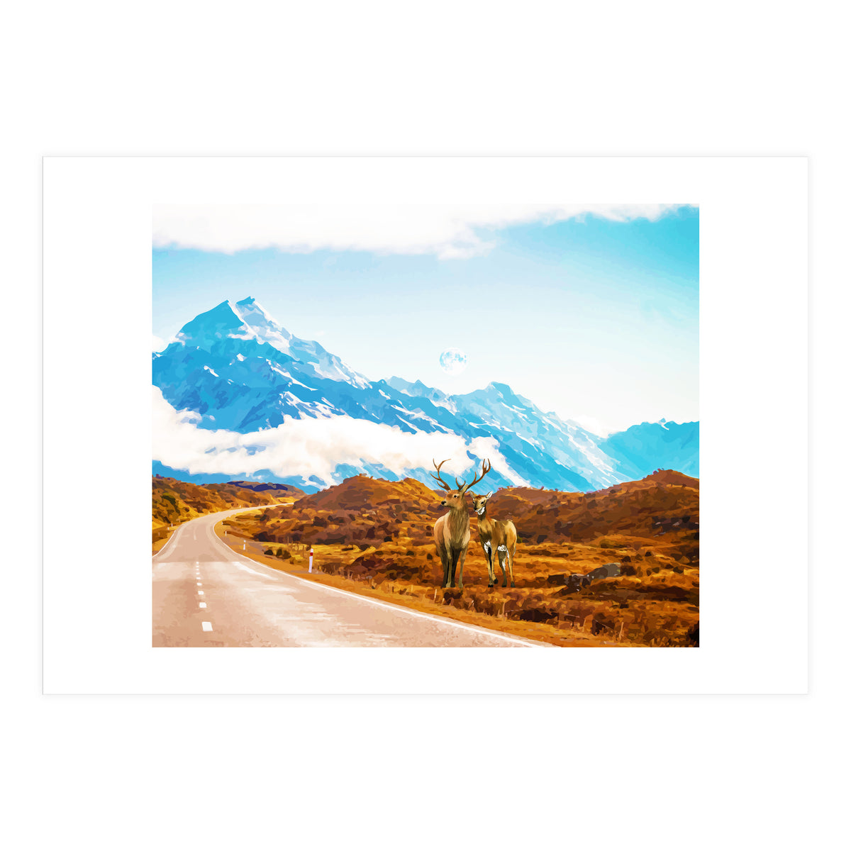 Wildlife (Print Only)