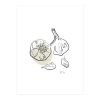Garlic (Print Only)